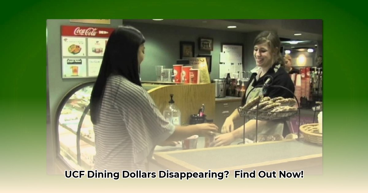 how-to-check-how-many-dining-dollars-you-have-ucf